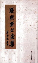 孙晓野书画集