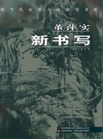 现当代水墨大成研究书系  董萍实·新书写