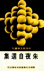 中国新文学丛刊  119  朱夜自选集