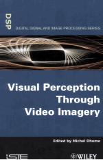 Visual Perception through Video Imagery