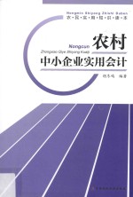 农村中小企业实用会计