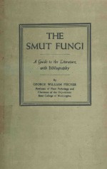 THE SMUT FUNGI