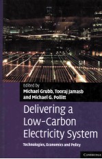 Delivering a Low-Carbon Electricity System Technologies