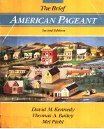 THE BRIEF AMERICAN PAGEANT A HISTORY OF THE REPUBLIC  SECOND EDITION