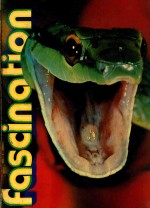 FASCINATION SCHLANGEN UND ECHSEN SERPENTS ET LEZARDS SNAKES AND LIZARDS