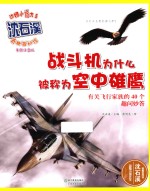 战斗机为什么被称为空中雄鹰  有关飞行家族的40个趣问妙答  美绘注音版