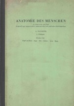 ANATOMIE DES MENSCHEN ZWEITER TEIL