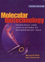 MOLECULAR BIOTECHNOLOGY PRINCIPLES AND APPLICATIONS OF RECOMBINANT DNA