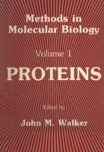 METHODS IN MOLECULAR BIOLOGY VOLUME 1 PROTEINS