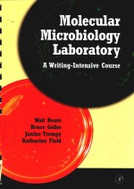 MOLECULAR MICOBIOLOGY LABORATORY A WRINTING INTENSIVE COURSE