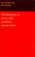 DEVELOPMENT OF NERVE CELLS AND THEIR CONNECTIONS