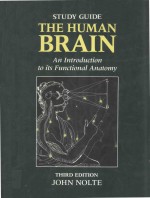 A STUDY GUIDE TO ACCOMPANY THE HUMAN BRAIN