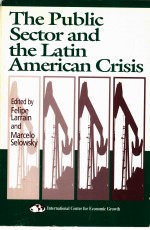 THE PUBLIC SECTOR AND THE LATIN AMERICAN CRISIS