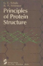 PRINCIPLES OF PROTEIN STRUCTURE