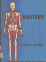 ANATOMY