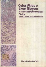 COLOR ATLAS OF LIVER BIOPSY A CLINICAL PATHOLOGICAL GUIDE