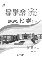 导学案  化学  九年级  下