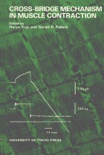 CROSS BRIDGE MECHANISM IN MUSCLE CONTRACTION