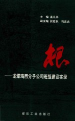 根  龙媒鸡西分子公司班组建设实录