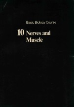 BASIC BIOLOGY COURSE UNIT 4 COMMUNICATION BETWEEN CELLS BOOK 10 NERVES AND MUSCLE