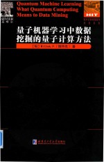 量子机器学习中数据挖掘的量子计算方法