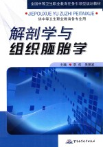 解剖学与组织胚胎学