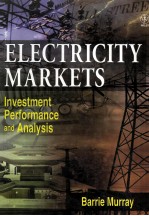 ELECTRCITY MARKETS INVESTMENT