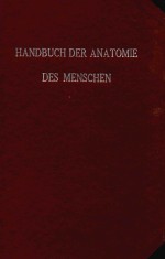 ANATOMIE DES BAUCHFELLES