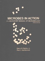 MICROBES IN ACTION A LABORATORY MANUAL OF MICROBIOLOGY THIRD EDITION