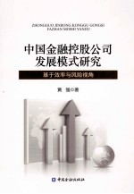 中国金融控股公司发展模式研究  基于效率与风险视角