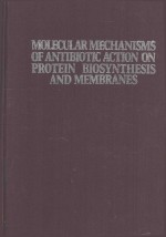 MOLECULAR MECHANISMS OF ANTIBIOTIC ACTION ON PROTEIN BIOSYNTHESIS AND MEMBRANES