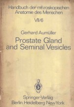 PROSTATE GLAND AND SEMINAL VESICLES