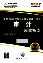 2014年度注册会计师全国统一考试  审计  应试指南