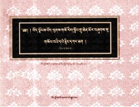 西藏藏医学院馆藏典籍目录  2  藏文