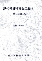 现代模具特种加工技术：电火花加工实训