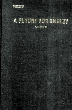 A FUTURE FOR ENERGY FLOWERS'90 oceedings of the Florence World Energy Research Symposium Firenze