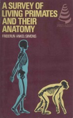 A SURVEY OF LIVING PRIMATES AND THEIR ANATOMY