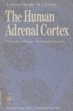 THE HUMAN ADRENAL CORTEX PATHOLOGY AND BIOLOGY AN INTEGRATED APPROACH