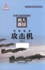 空中杀手攻击机