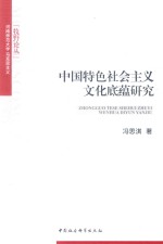 中国特色社会主义文化底蕴研究