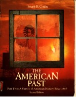 THE AMERICAN PAST  A SURVEY OF AMERICAN HISTORY SINCE 1865  SECOND EDITION