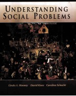 UNDERSTANDING SOCIAL PROBLEMS