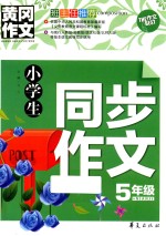 小学生同步作文  五年级