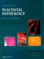 HANDBOOK OF PLACENTAL PATHOLOGY SECOND EDITION