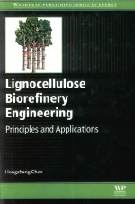 lignocellulose biorefinery engineering principles and applications