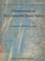 ULTRASTRUCTURE OF THE CONNECTIVE TISSUE MATRIX