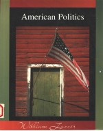 AMERICAN POLITICS  INSTITUTIONS AND INTERCONNECTIONS