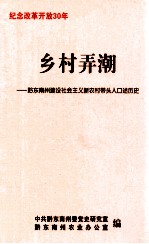 乡村弄潮-黔东南州建设社会主义新农村带头人口述历史