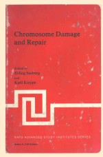 chromosome damage and repair