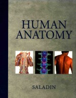 HUMAN ANATOMY